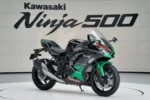 Kawasaki Ninja 500